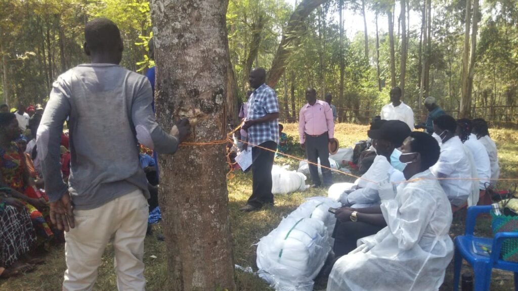 Ministry of health distributing mosquito nets to prevent malaria